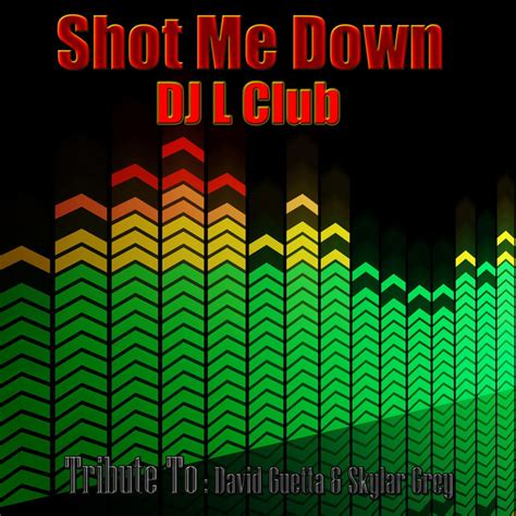 Shot Me Down Tribute To David Guetta Skylar Grey Bang Bang