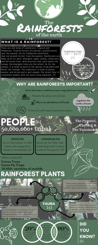 Amazing Facts About Rainforests Infographics By Off