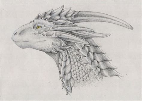 21+ Realistic Dragon Drawings | Free & Premium Creatives | Realistic
