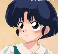 Akane Tendo Ranma Akane Other Rumiko Takahashi Pairings Icon