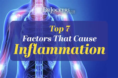 What Causes Inflammation? 7 Key Contributors - DrJockers.com