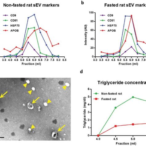 (PDF) Confounding factors in vesicle uptake studies using fluorescent lipophilic membrane dyes