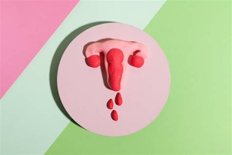 Menstruaci N Consciente Sex Academy Barcelona