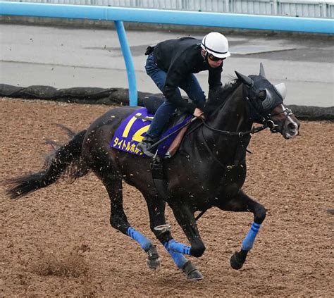 【宝塚記念1週前追い】タイトルホルダー G1連勝へ前回以上の出来 横山和と息ぴったり加速 スポニチ競馬web