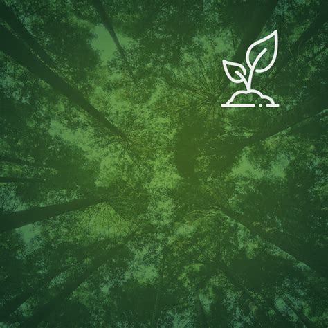 medio ambiente sidera