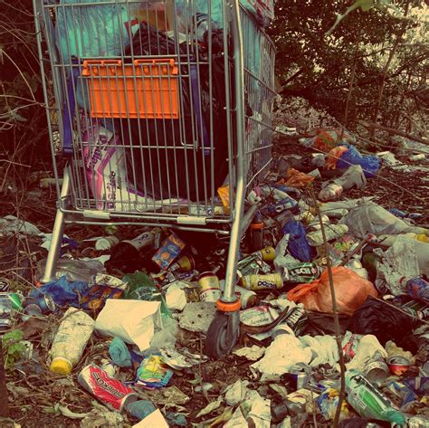 Enfermedades Causadas Por La Basura Impacto En La Salud Eco Signal