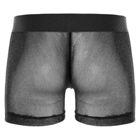 Sexy Mens Sexy Semi See Through Mesh Sheer Boxer Briefs Underwear Trunks Shorts Ebay