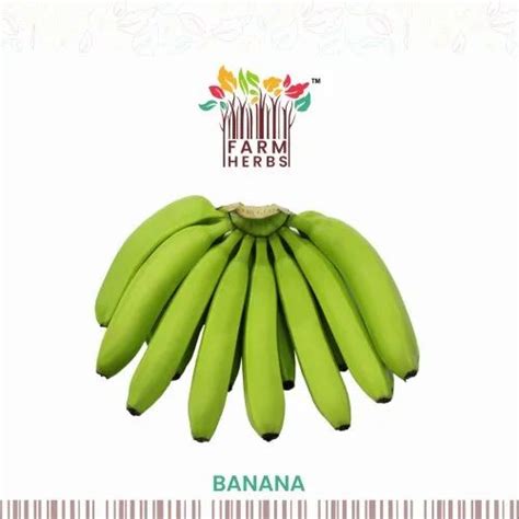 G Grade A Fresh Cavendish Banana Packaging Size Satandard Packaging