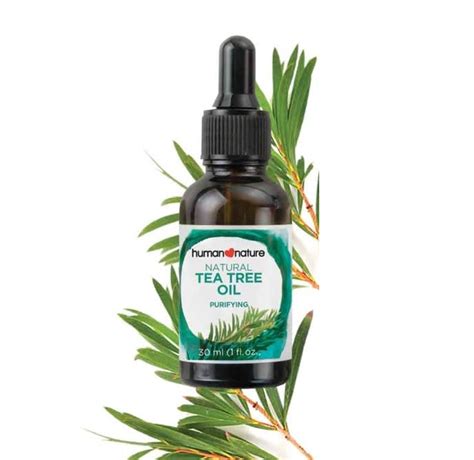 10 Best Tea10 Best Tea Tree Oils In Philippines 2025 Top Brands