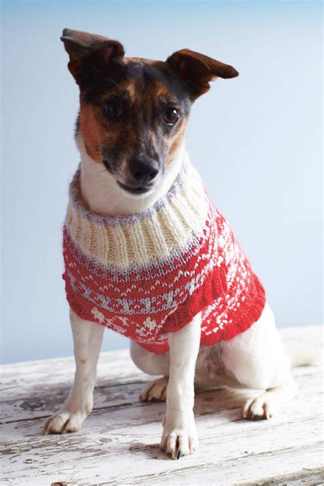 Dog Coat Knitting Pattern | The Knitting Network