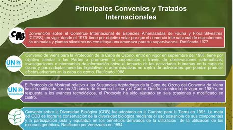 Tratados Y Convenios Internacionalespptx