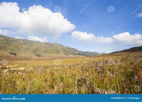 The Beauty Of Teletubbies Hill A Vast Savanna Landscape One Of The