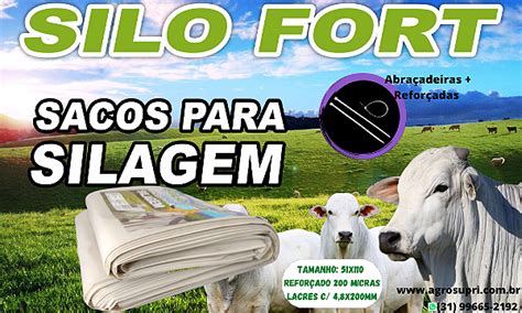 Sacos De Silagem Branco 51x110 200 Micras C 500 Unid C Abraçadeiras