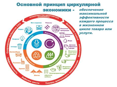 Циркулярная экономика: определение и значение