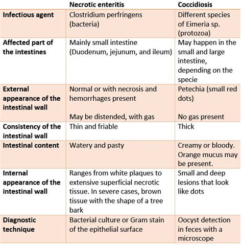 Necrotic Enteritis And Coccidiosis Differential Diagnosis Plusvet