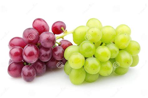 cluster  grapes growing    vine ready  harvesting