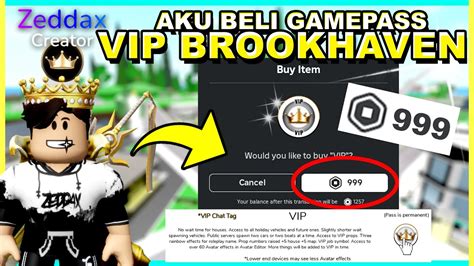 Aku BELI VIP GAMEPASS Seharga R 1 000 ROBUX Di BROOKHAVEN Roblox