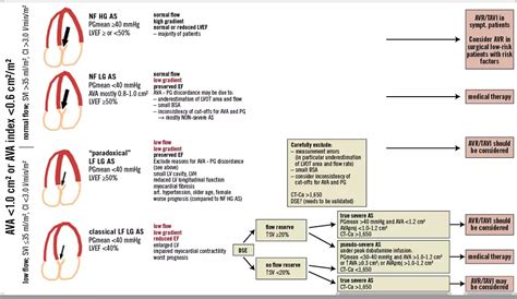 Low Flow Aortic Stenosis