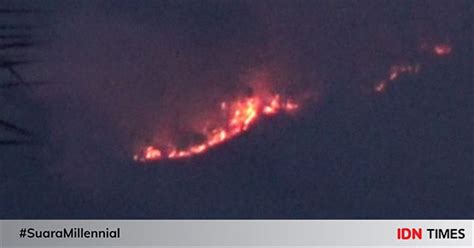 Kebakaran Hutan Di Lereng Gunung Lawu Ngawi Masih Sulit Dipa