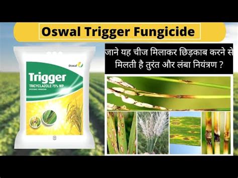 Tricyclazole 75 Wp Tricyclazole Fungicide Trigger Fungicide