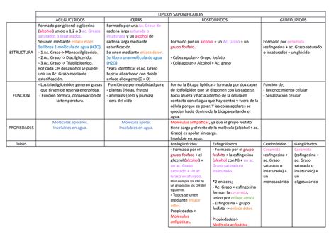 Lipidos Saponificables Tabla Lipidos Saponificables Acilgliceridos