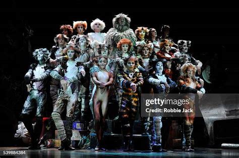 1,028 Andrew Lloyd Webber Cats Stock Photos, High-Res Pictures, and ...