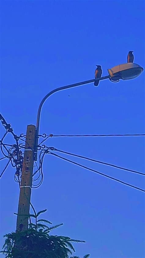 Pin By Albobus Hhhh On Utility Pole Structures