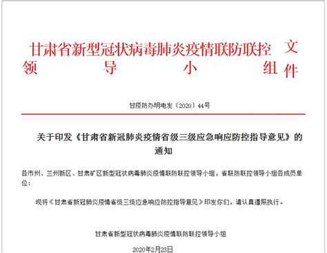 速看！甘肃省印发新冠肺炎疫情省级三级应急响应防控指导意见澎湃号·政务澎湃新闻 The Paper