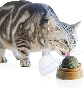 Amazon Cat Nip Ball Cat Toy With Cover Qty 1 Self Adhesive