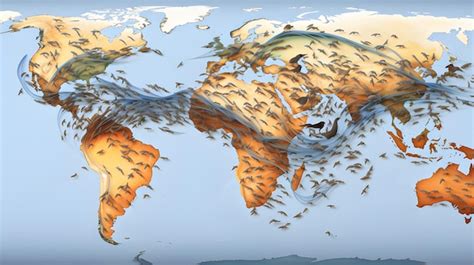 Un mapa de migración de especies animales que ilustra los cambios en