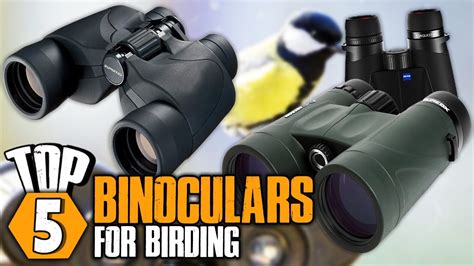 Top 5 Best Binoculars For Birding 2023 Best Compact Binoculars For