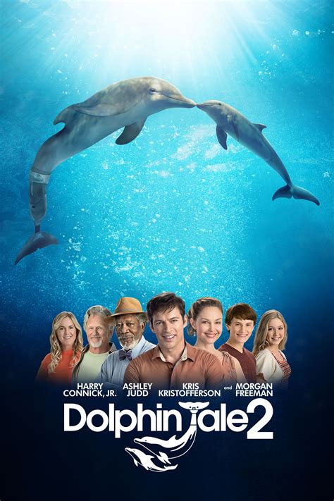 Dolphin Tale Wallpaper