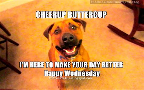 Its Wednesday Funny And Happy Wednesday Meme With Wednesday Quotes