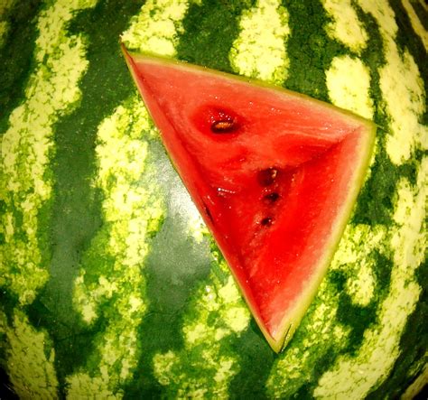 Free Watermelon Stock Photo - FreeImages.com