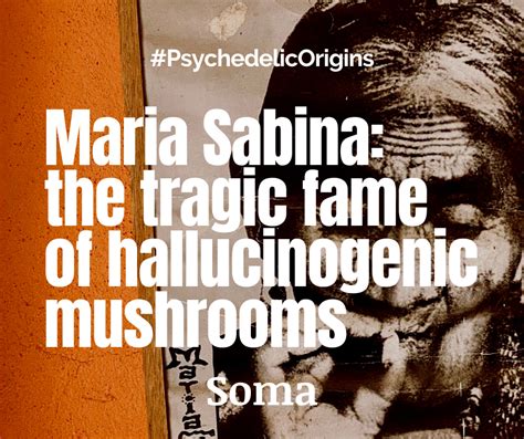 Maria Sabina: the tragic fame of hallucinogenic mushrooms — Source Research Foundation