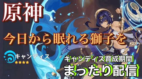 【原神】今日から始めるキャンディス育成 日課【げんしん】 初心者 脳筋【まったり配信】 原神動画まとめ