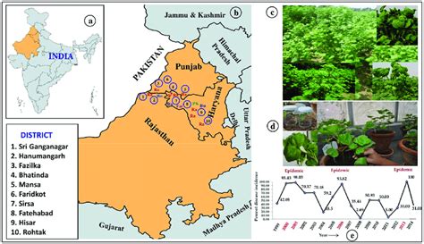 The Plate Showing Cotton Growing States In Northwest India A