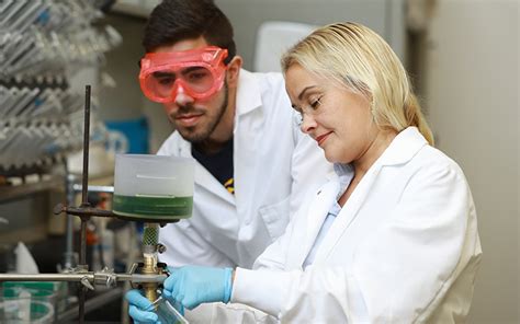 Bioengineering - Master of Science (M.S.) 