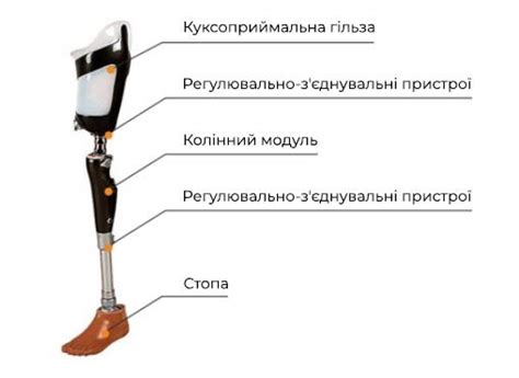 Протезно-ортопедичне підприємство ОРТО ВІТА - ПРОТЕЗ СТЕГНА МОДУЛЬНОГО ...