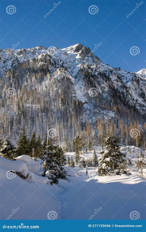 Winter with Snow on the Mountains. Great Cold Valley in High Tatras ...