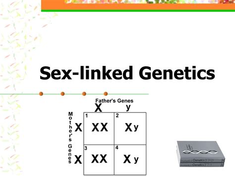 Mendelian Exceptions And Sex Linked Genetics Ppt Download