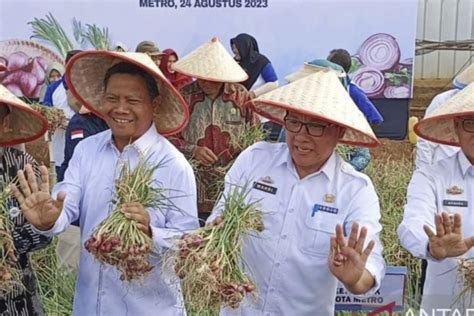 Pemkot Metro Jalin Kerja Sama Dengan Brebes Kembangkan Bawang Merah