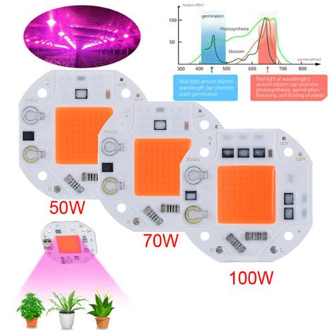 NQMODL SHOP ในรมภายใน220V 50W 70W 100W พชในเรอนกระจกปลกโคมไฟ LED