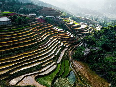 Terraced Rice Fields By Stocksy Contributor Bisual Studio Stocksy