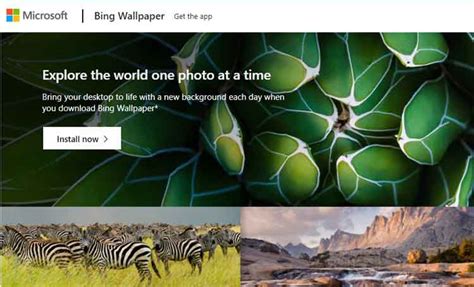 How to Download / Use Bing Wallpaper in Windows 11