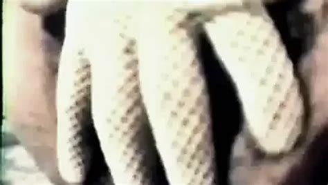 Le Llena La Vagina Spangbang HD Porn Video XHamster