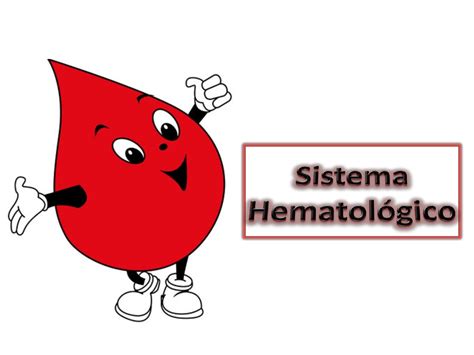 Solution Clase Sistema Hematol Gico Studypool