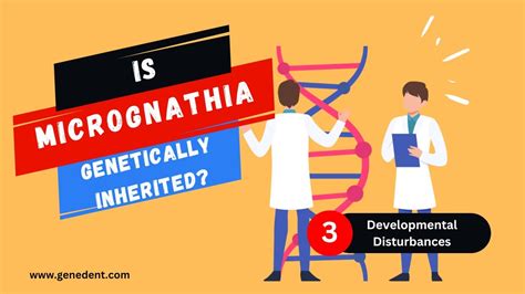 Is Micrognathia Genetically Inherited - YouTube