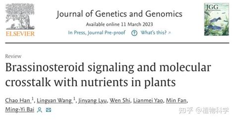 山东大学白明义团队综述油菜素内酯信号转导及与植物养分间的相互调控关系 知乎