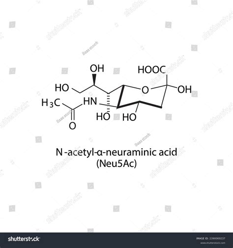 Molecular Structure Diagram N Acetyl Neuraminic Acid Neu Ac Stock